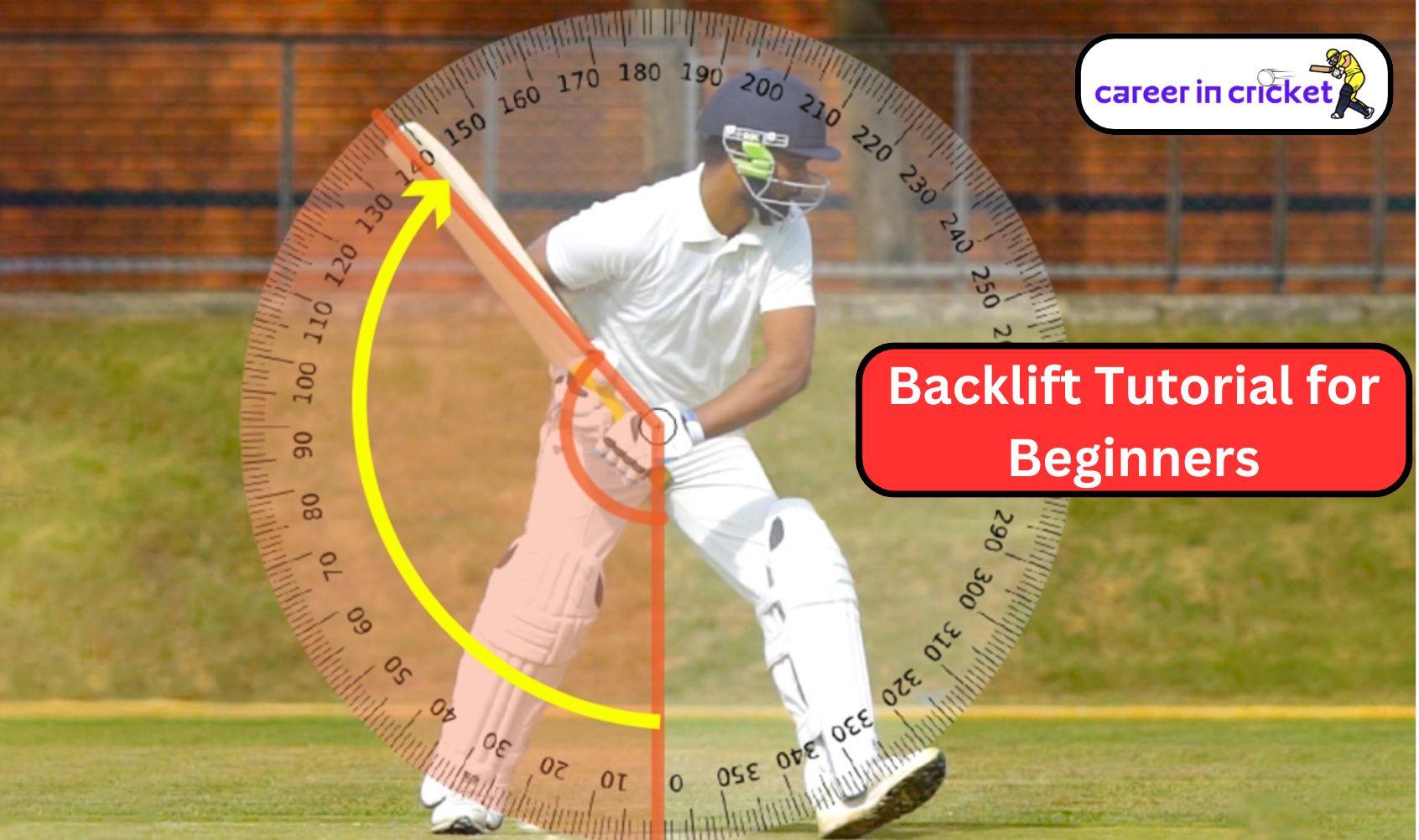 Top 7 best batting tips for beginners