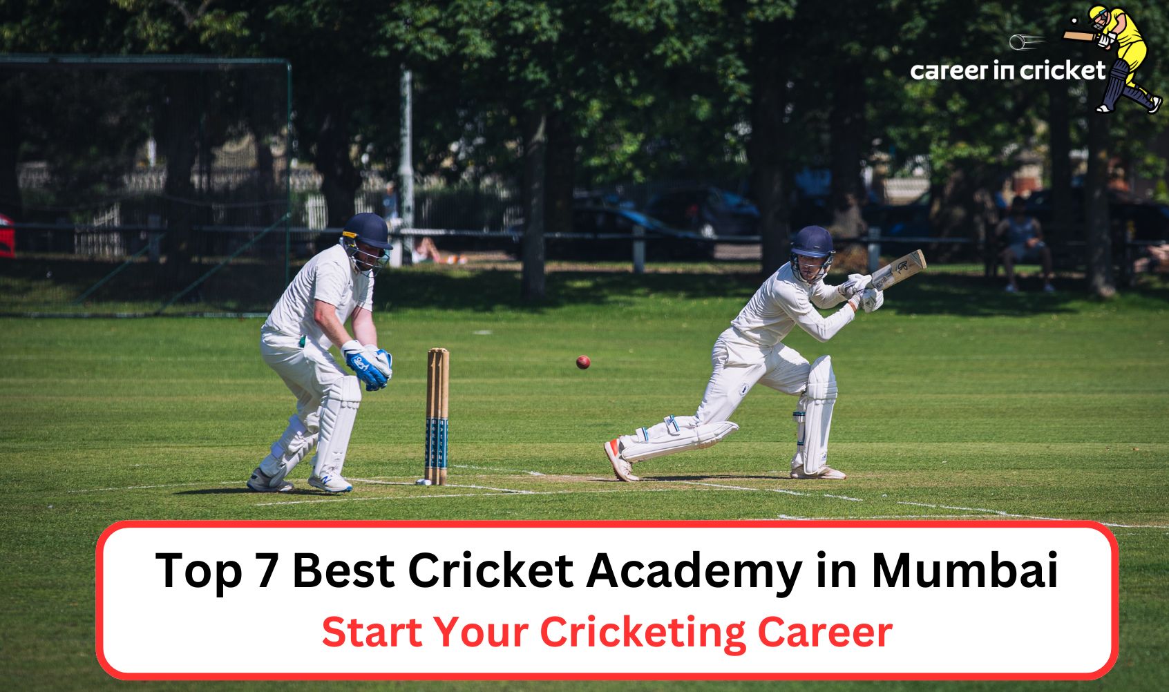 top 7 best cricket academy in mumbai