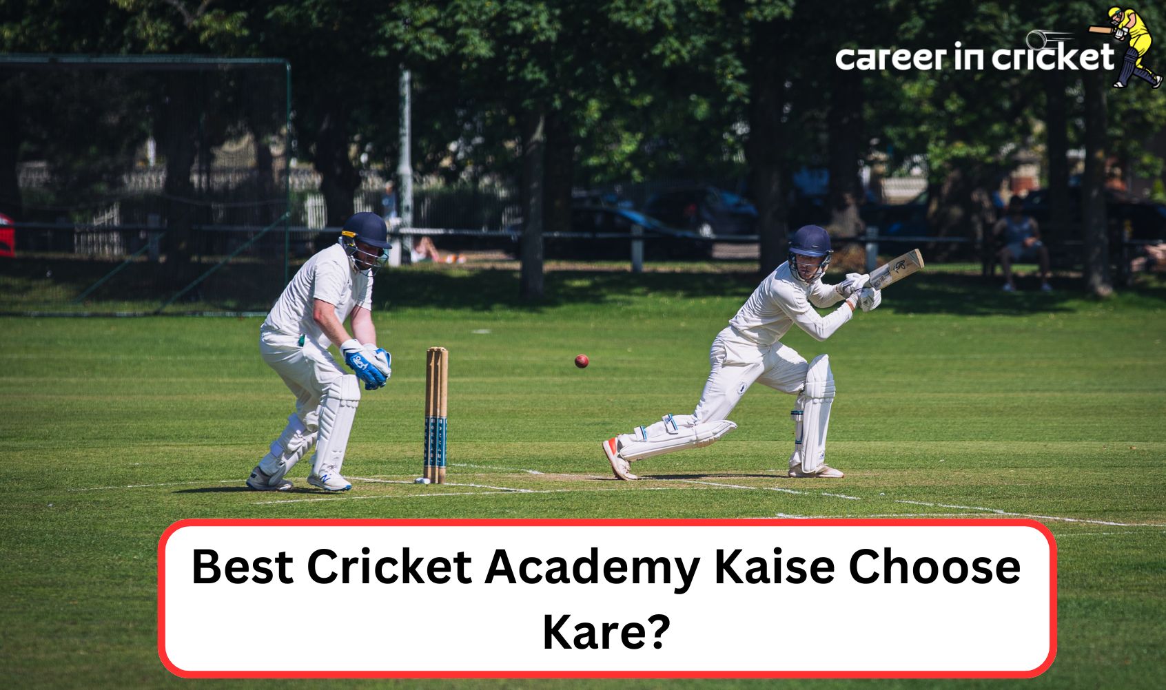 best cricket academy kaise choose kare? ek complete guide!