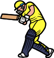 Career In Cricket