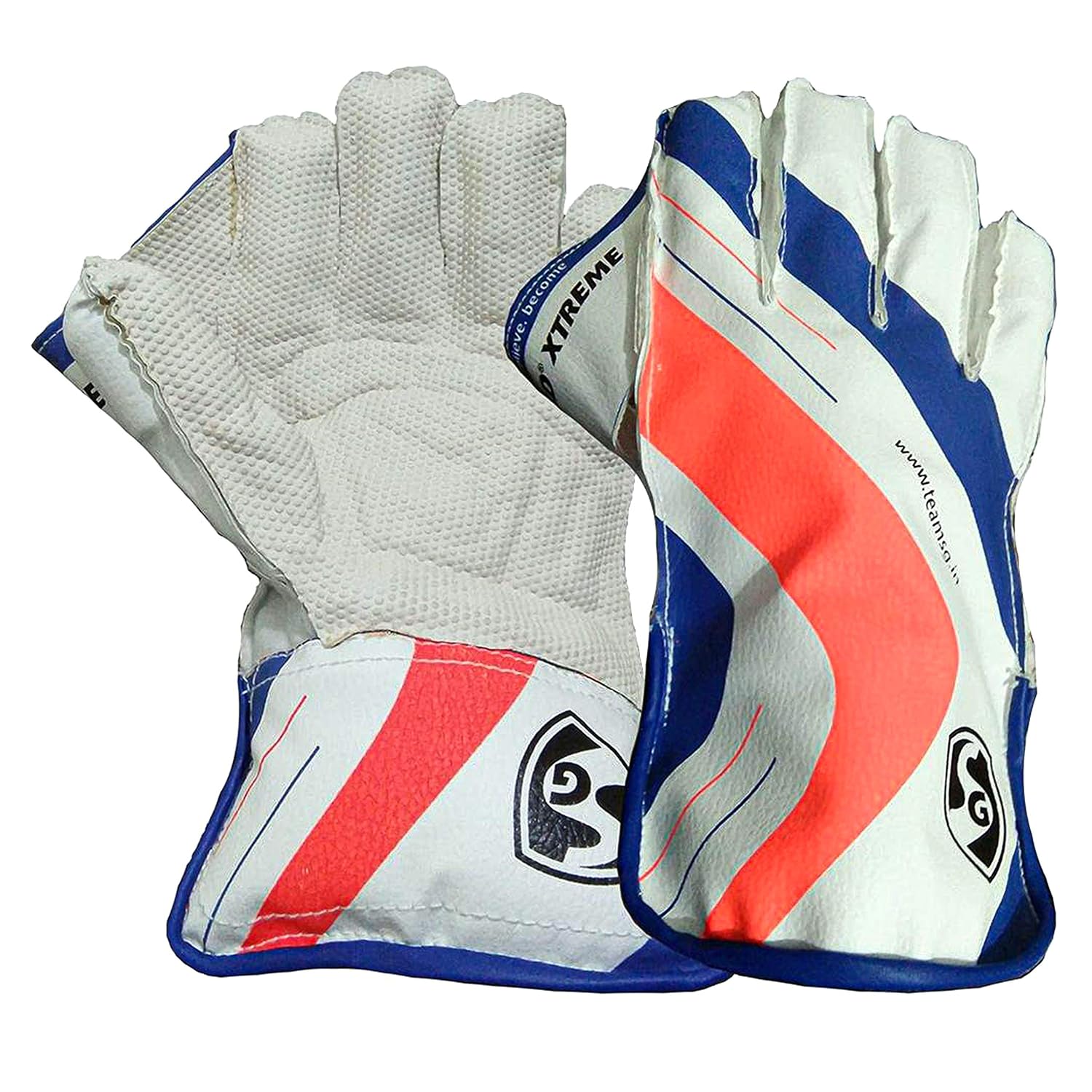 Cricket Equipment - Detail View