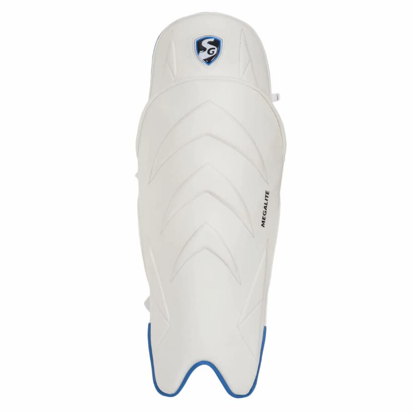 Cricket Equipment - Detail View