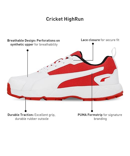 Authenticity Certificate