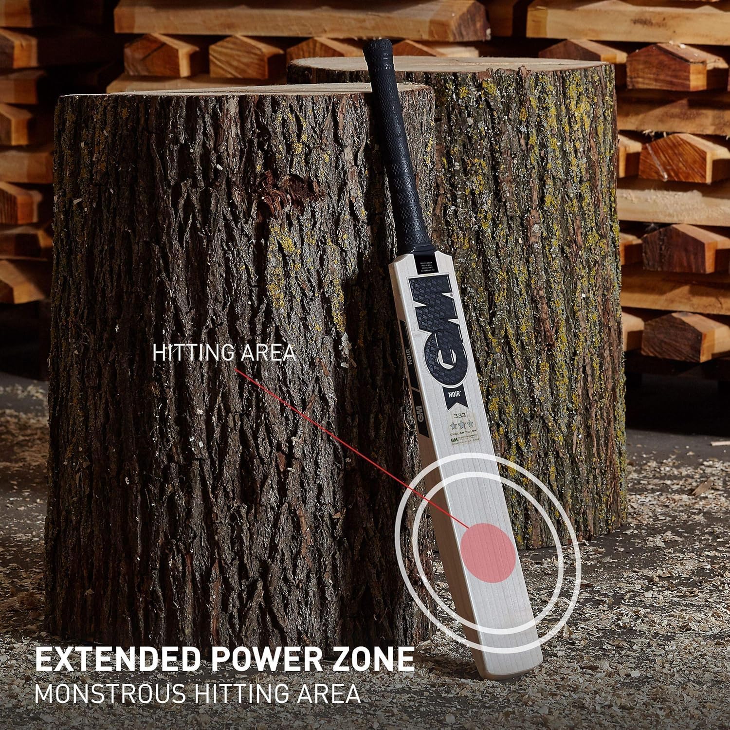 Cricket Equipment - Detail View