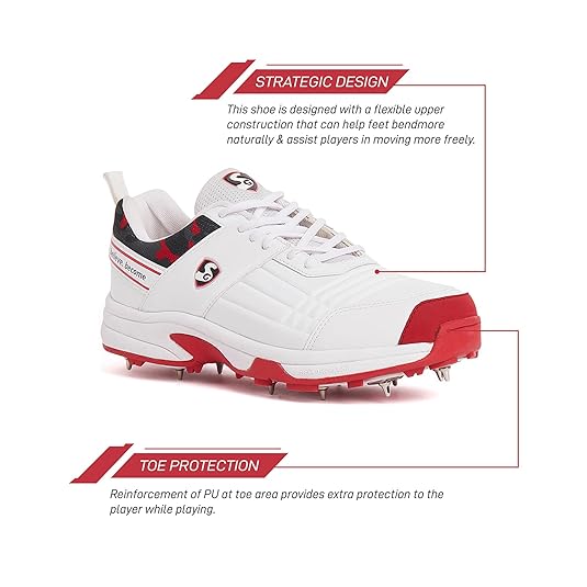 Cricket Equipment - Detail View