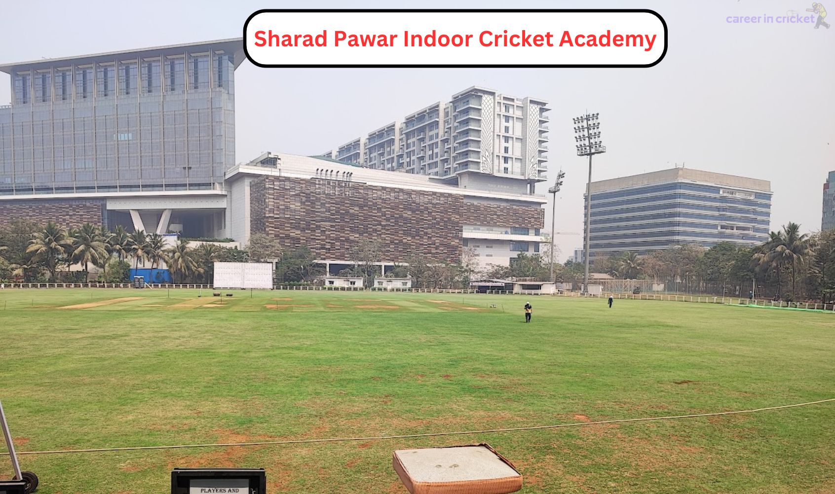 Top Cricket Academies in Mumbai: A Comprehensive Guide for Aspiring Cricketers