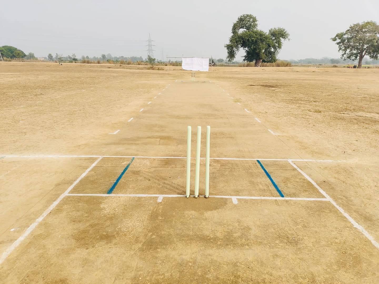 Cricket post shared by Ankit Stark on CricSocial