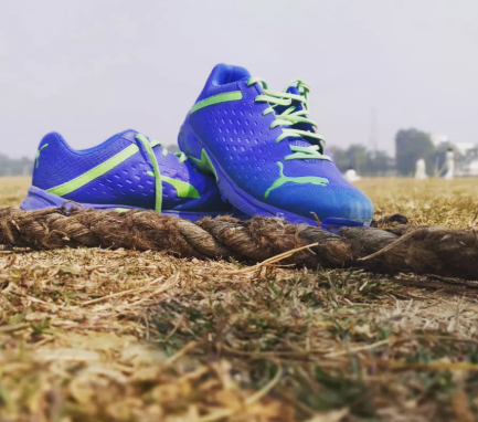 Cricket post shared by Gopal Kumar on CricSocial