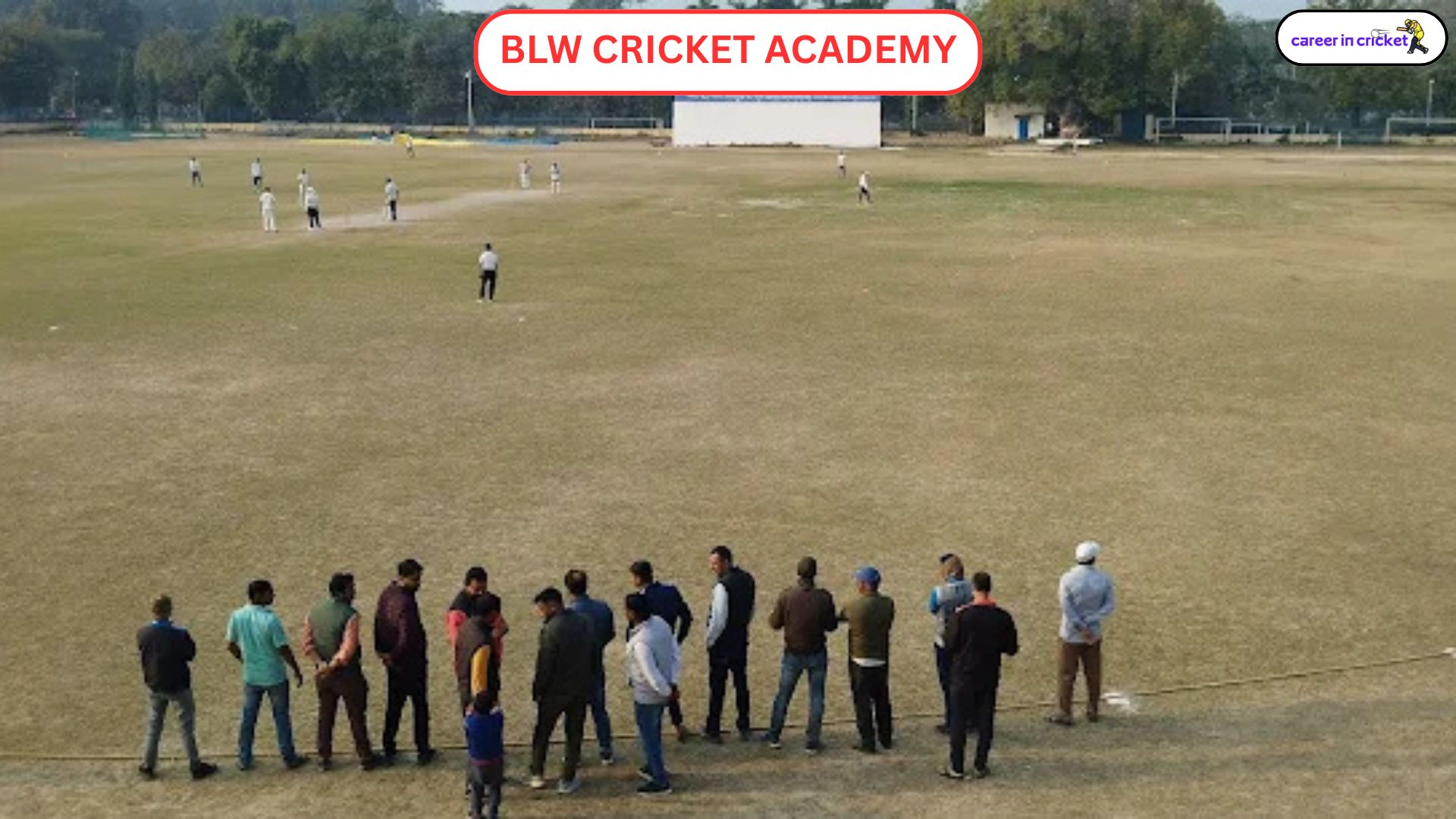 BLW Cricket Academy