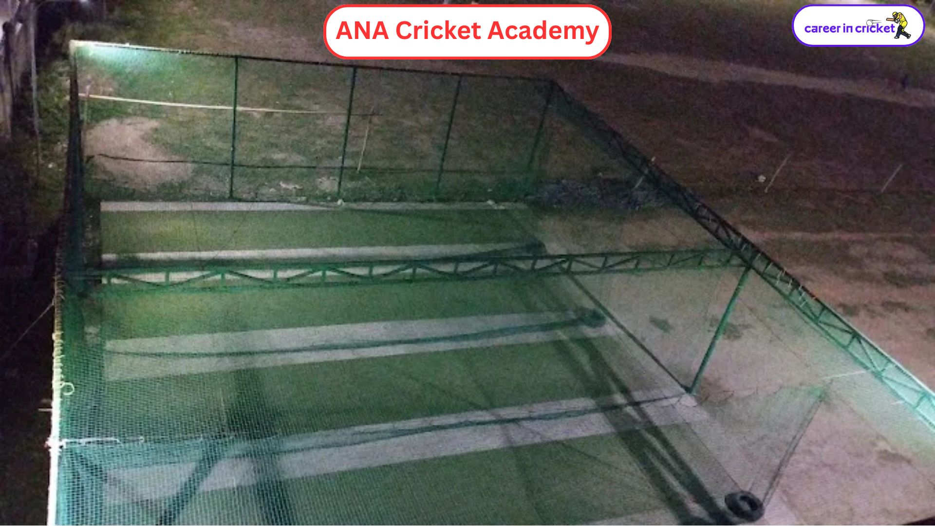 ANA Cricket Academy - Cricket Academy