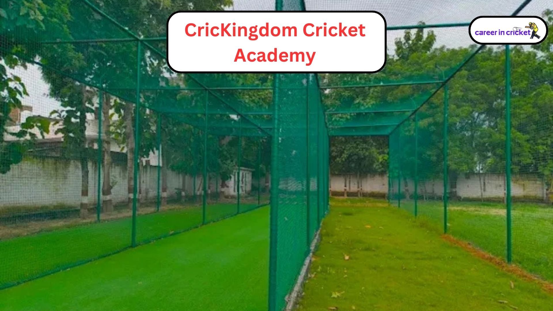 CricKingdom Cricket Academy – Agra, Uttar Pradesh - Cricket Academy