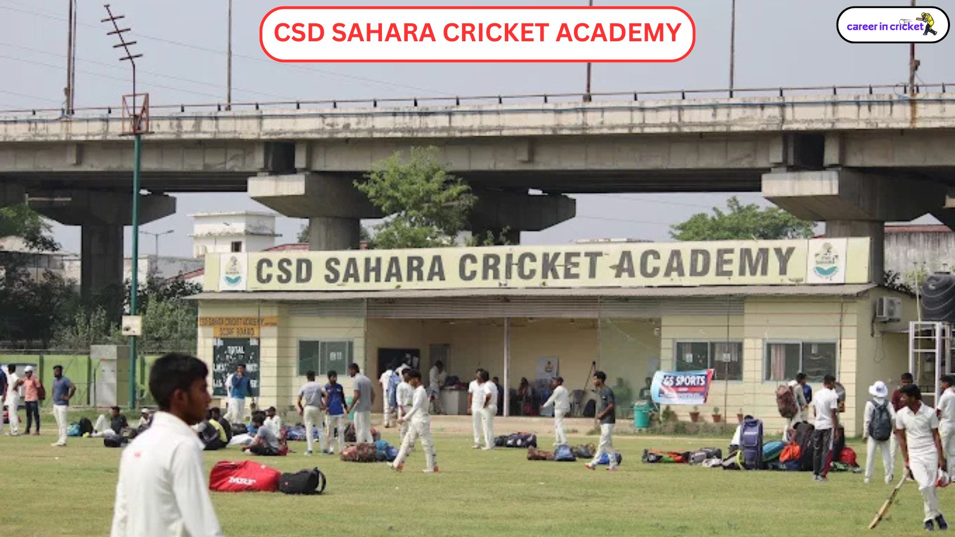 CSD Sahara Cricket Academy - Cricket Academy