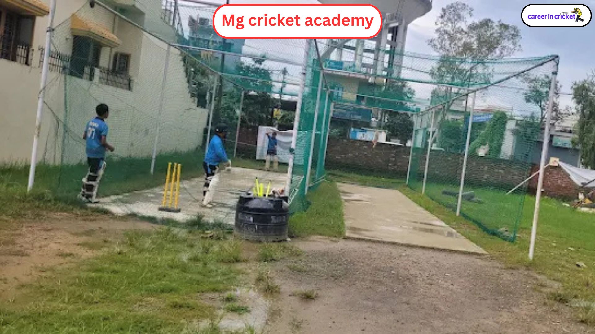MG Cricket Academy