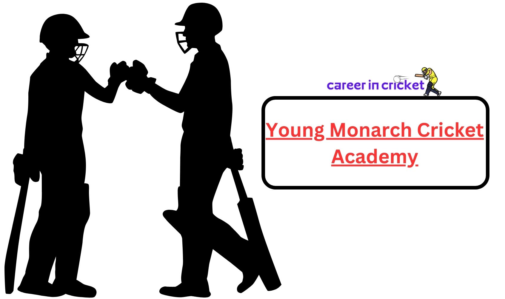 Young Monarch Cricket Academy - Cricket Academy