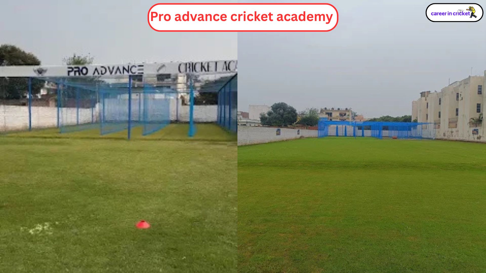 Pro advance cricket academy chandigarh - Cricket Academy
