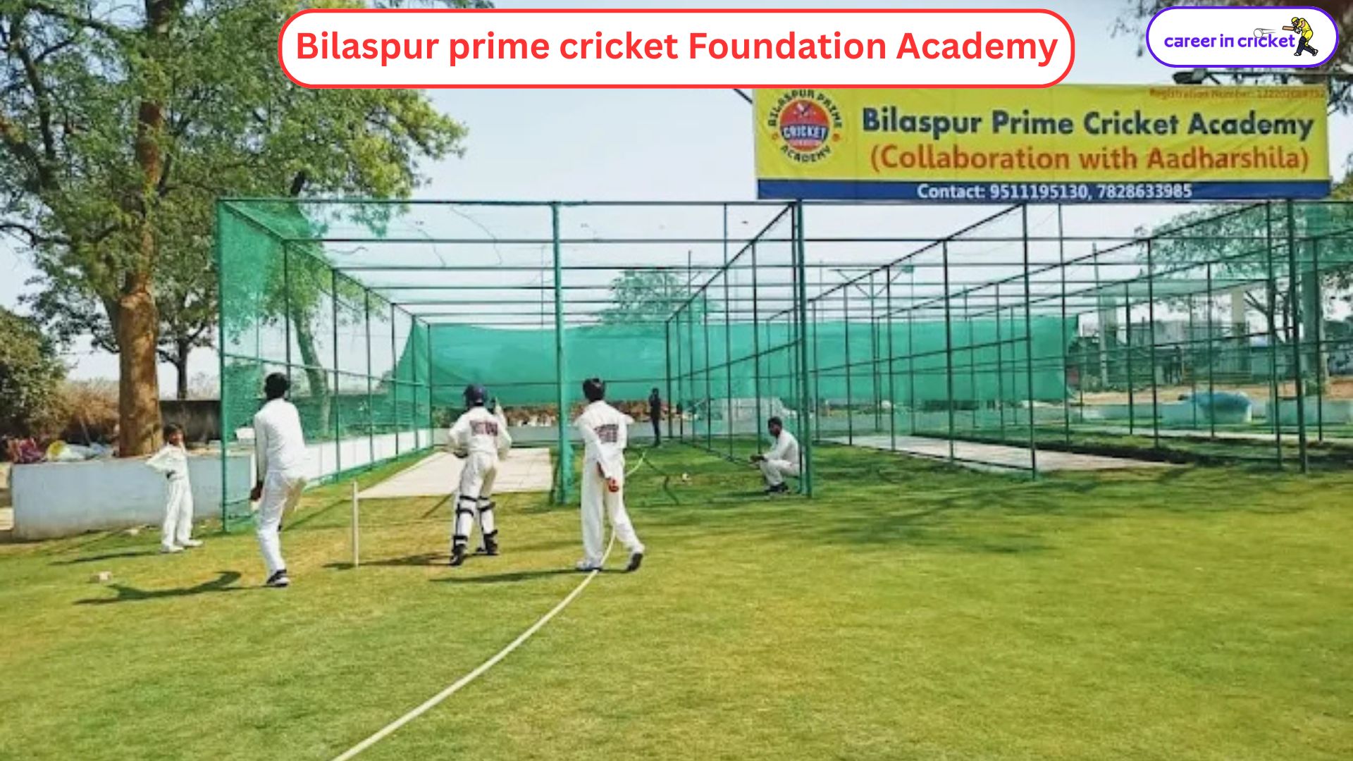Bilaspur Prime Cricket Foundation Academy