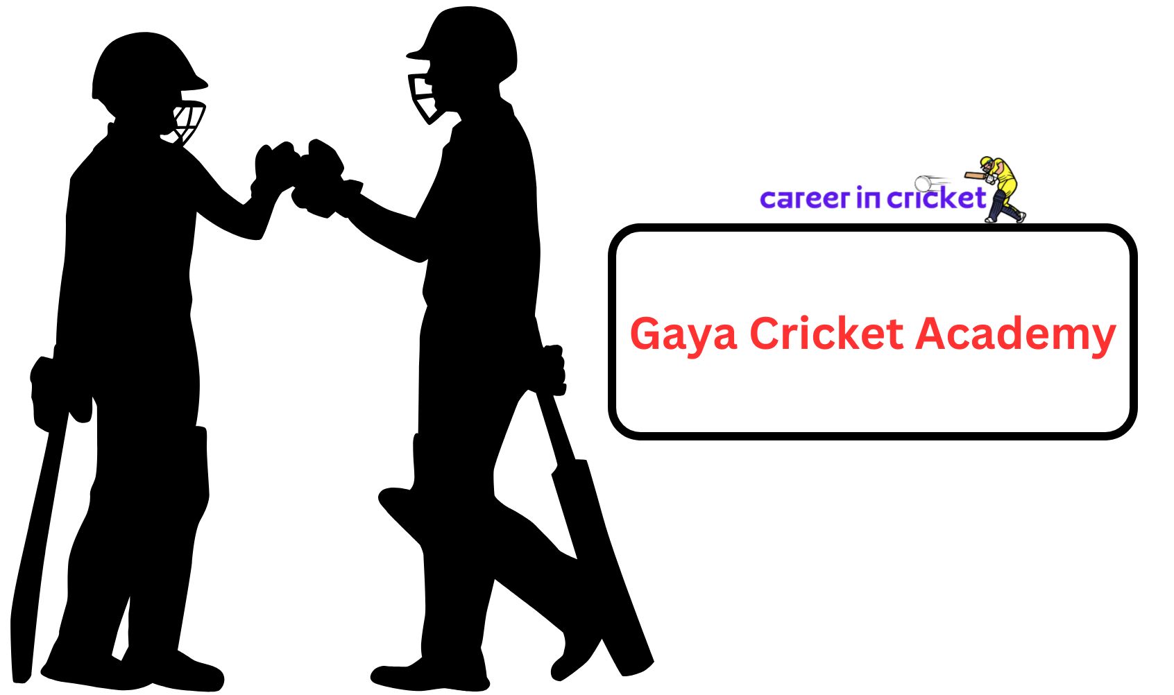 gaya cricket academy