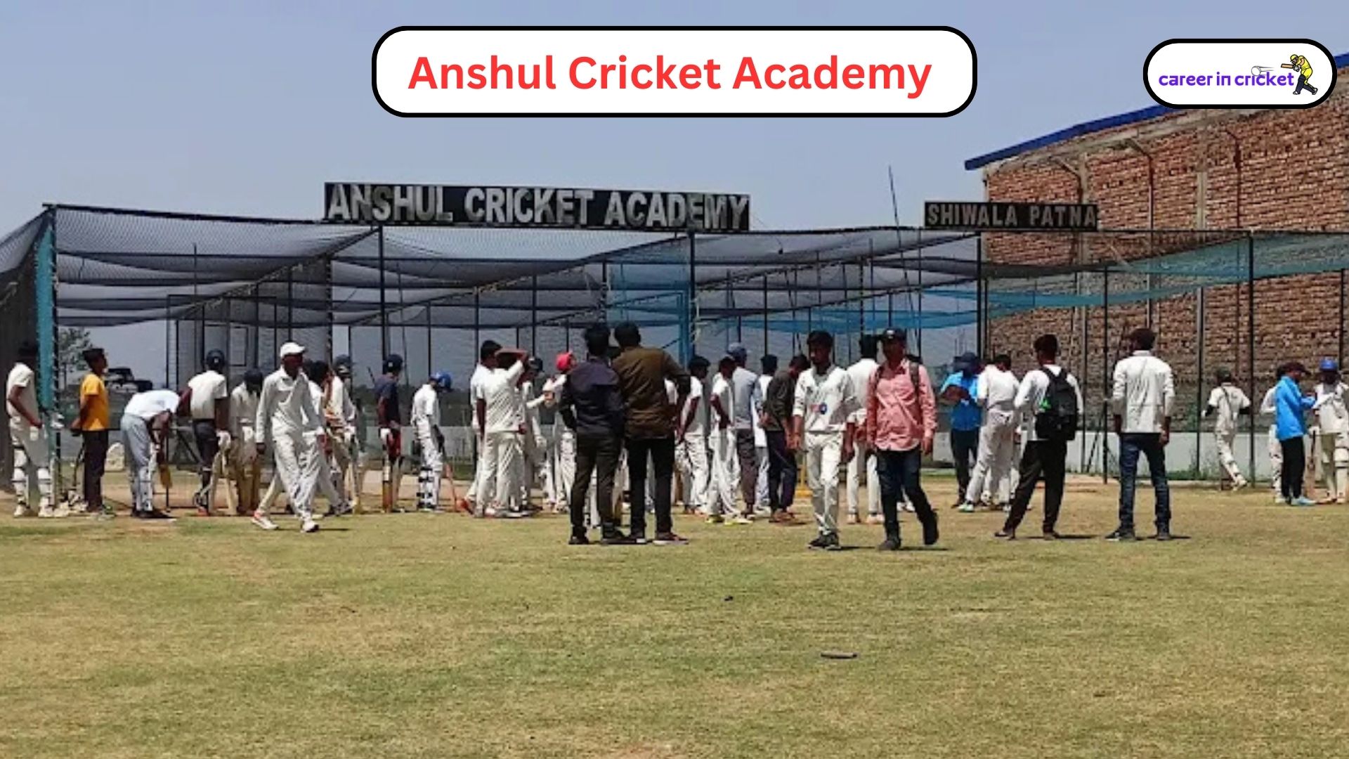 Anshul Cricket Academy