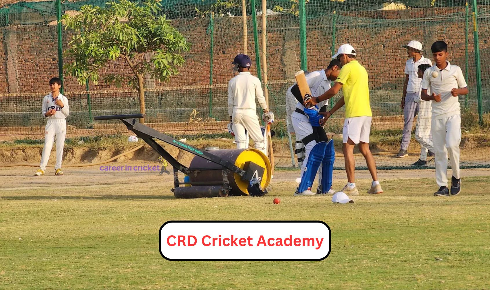 CRD Cricket Academy