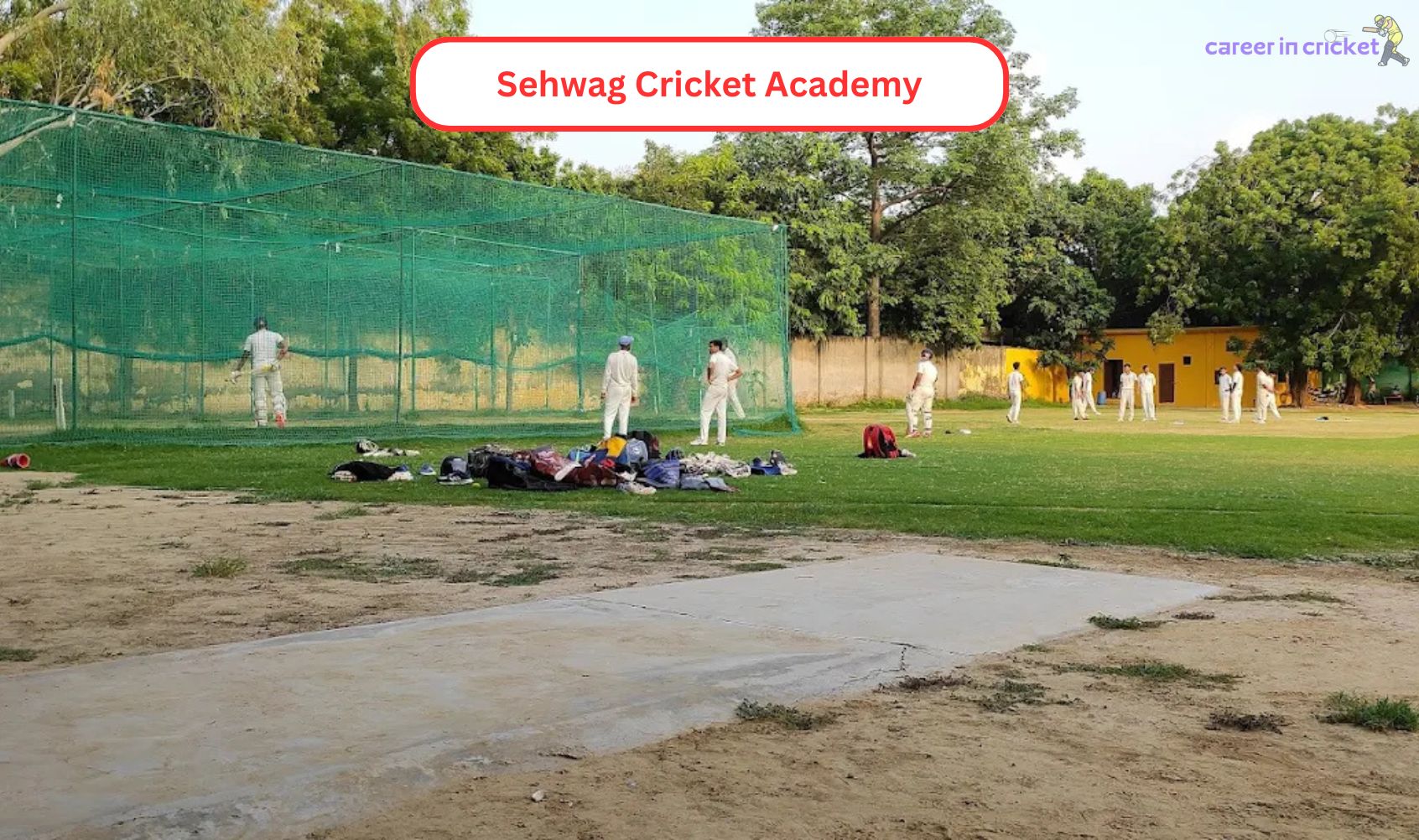 Sehwag Cricket Academy