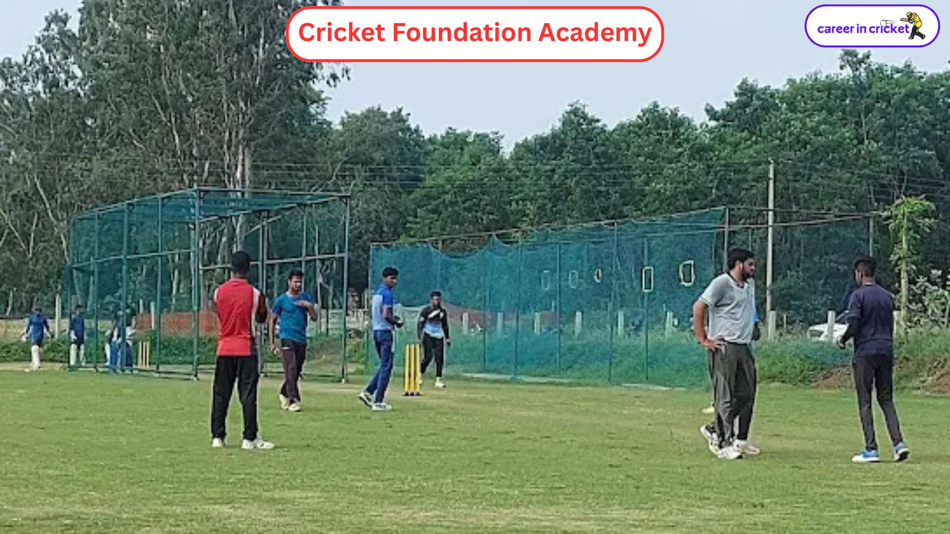 Cricket Foundation Academy - Cricket Academy