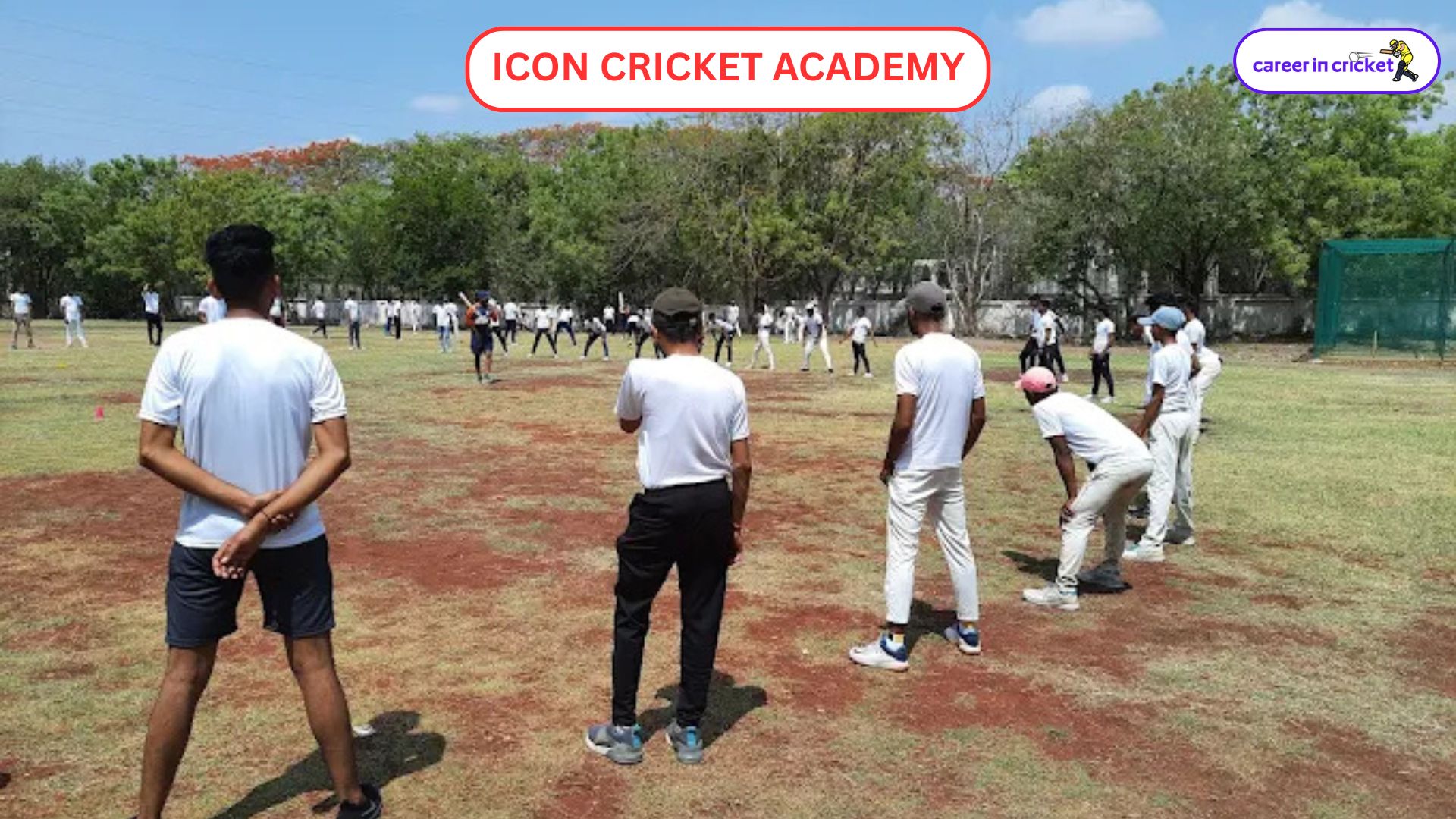 ICON Cricket Academy - Cricket Academy