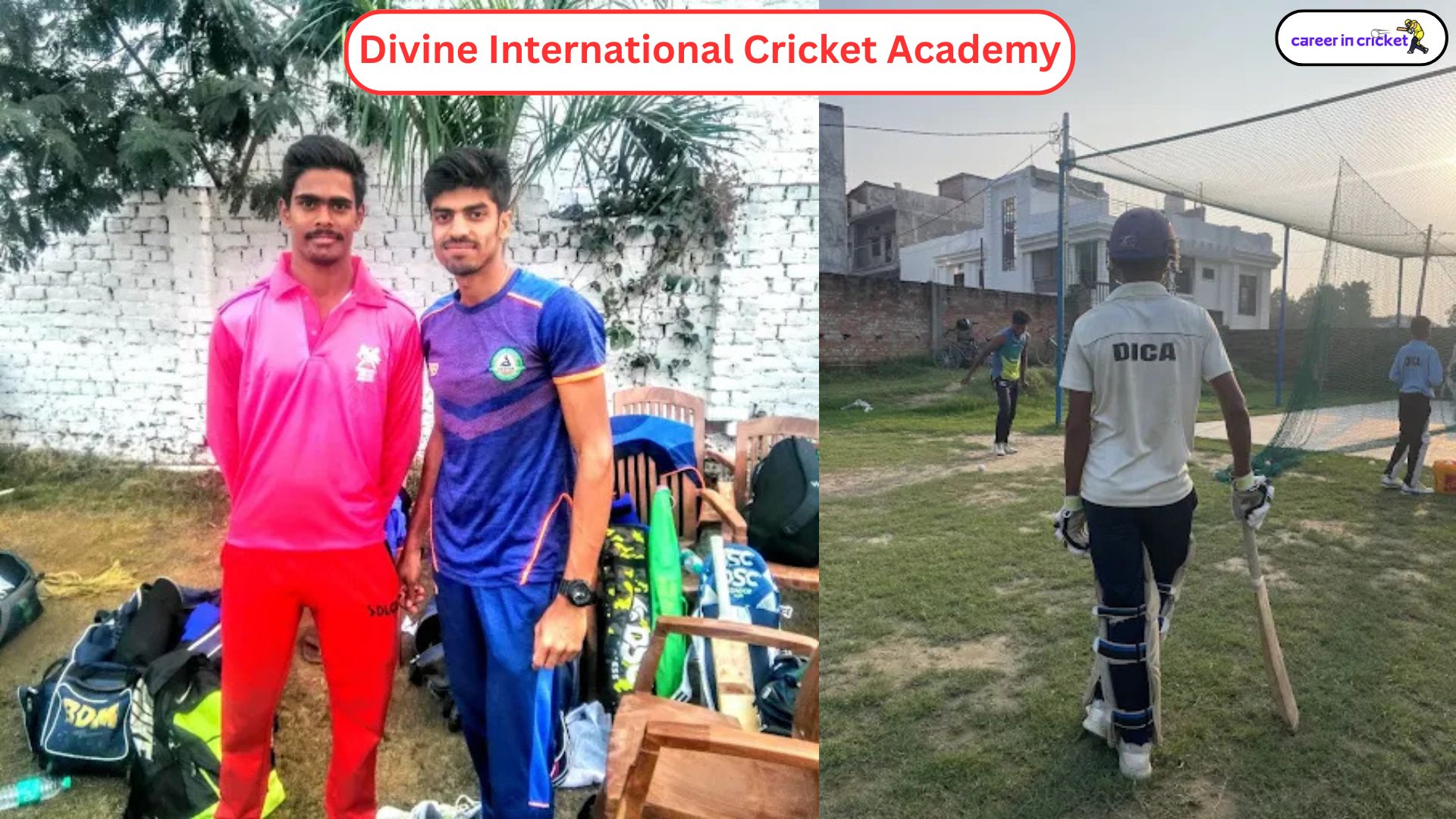 vine International Cricket Academy - Cricket Academy