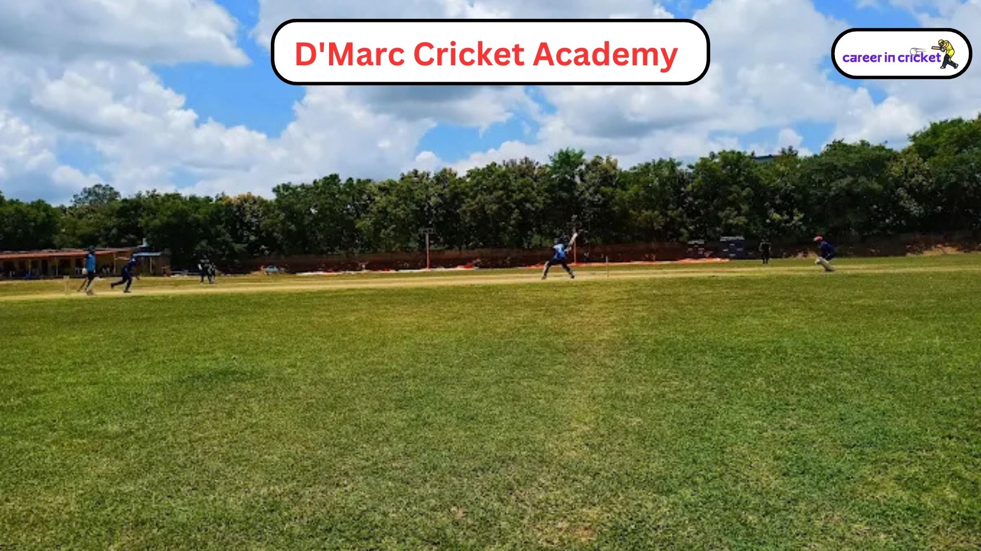 D'Marc Cricket Academy – Secunderabad - Cricket Academy