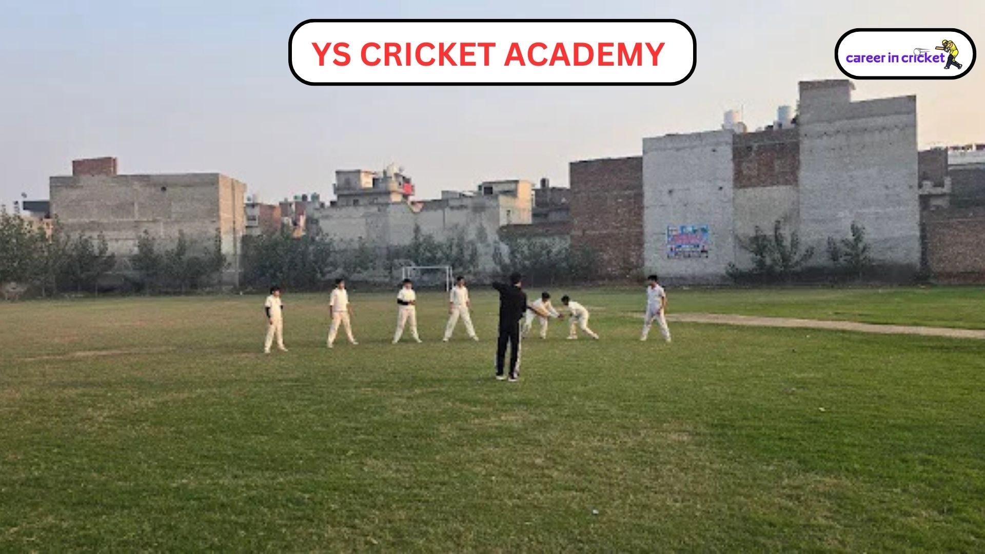 YS Cricket Academy – Ludhiana, Punjab - Cricket Academy