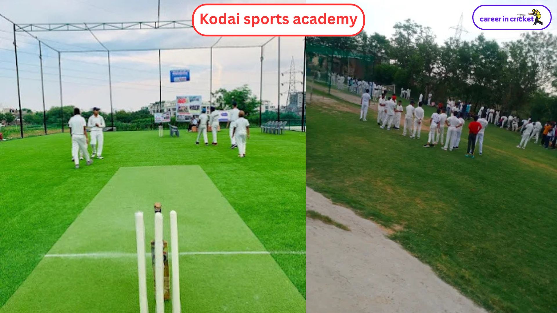Kodai Sports Academy - Cricket Academy