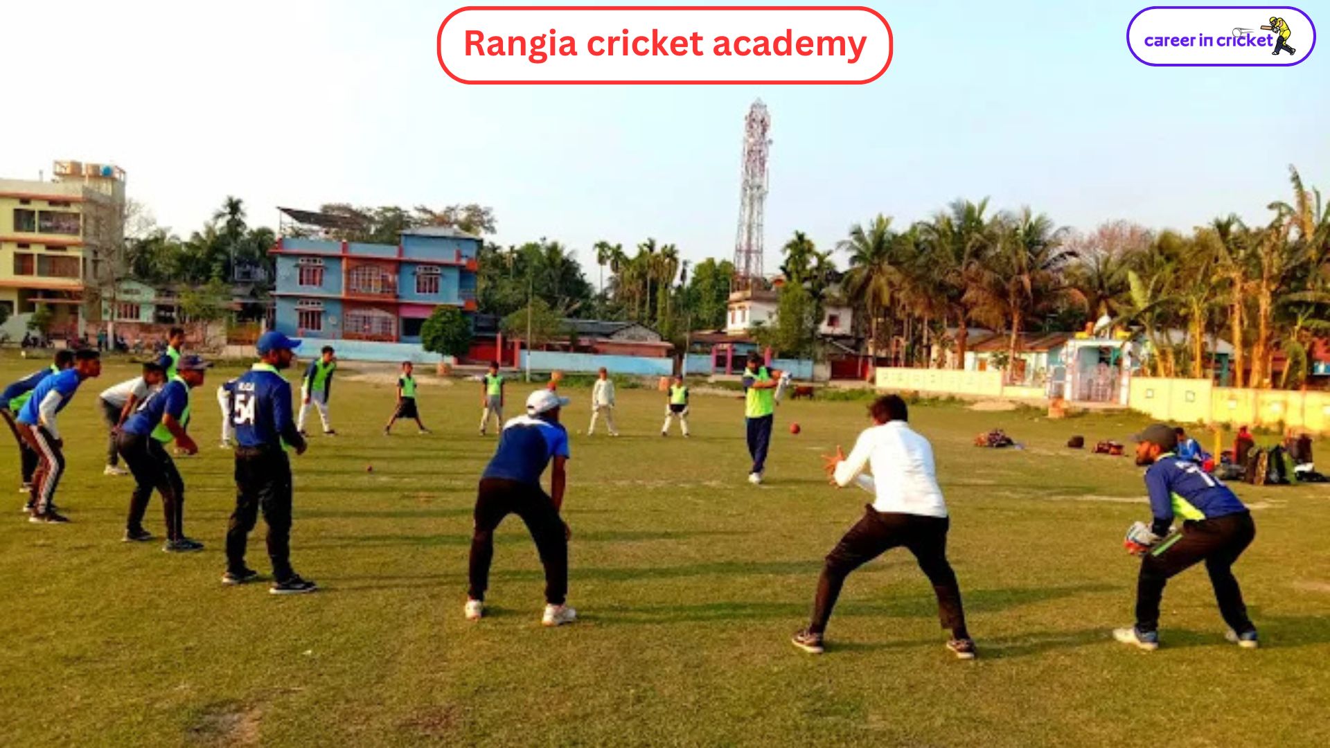 Rangia Cricket Academy - Cricket Academy