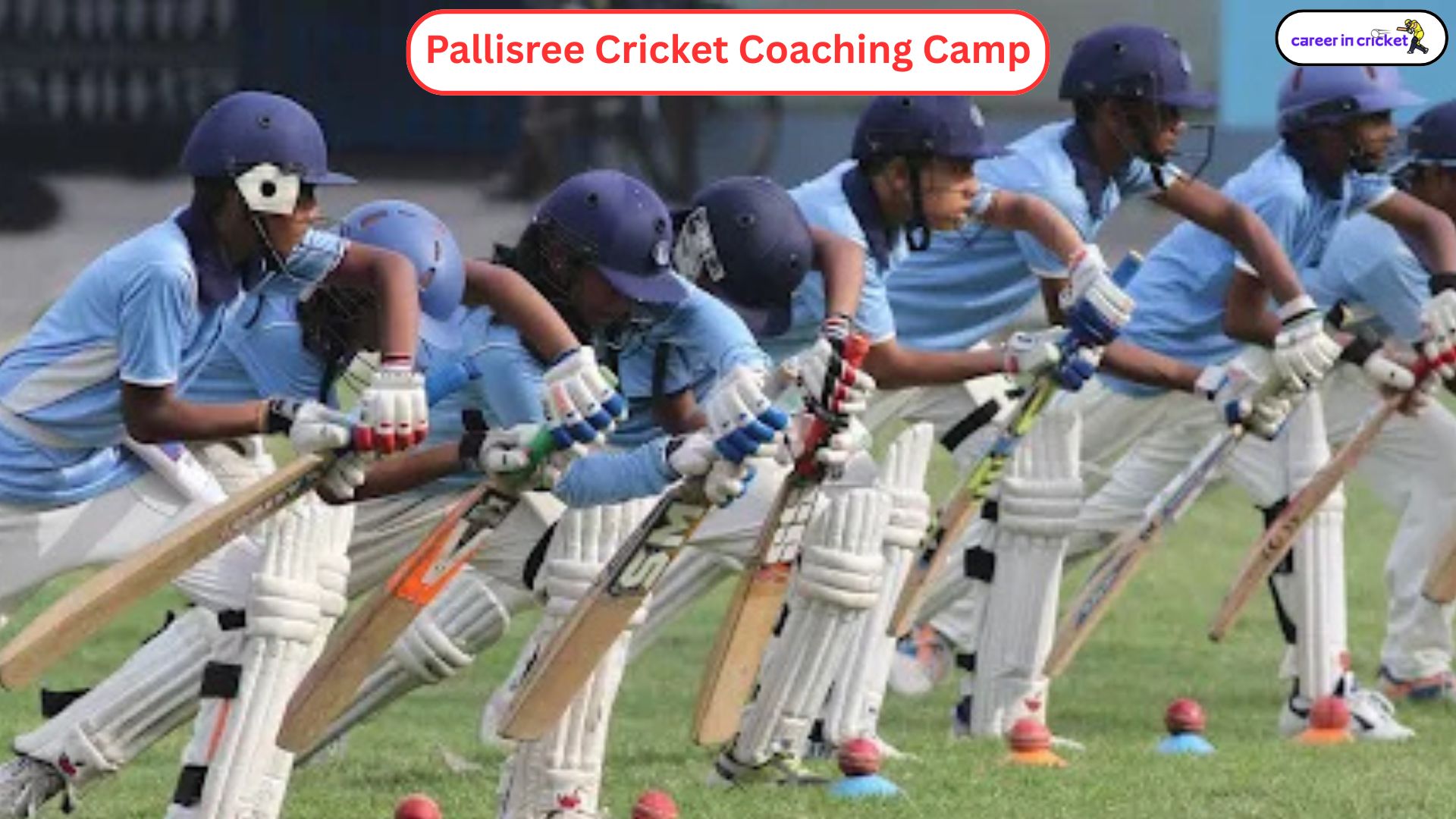 Pallisree Cricket Coaching Camp - Cricket Academy