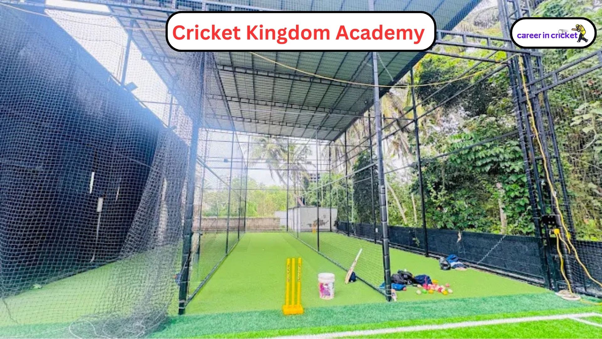 Cricket Kingdom Academy – Thiruvananthapuram